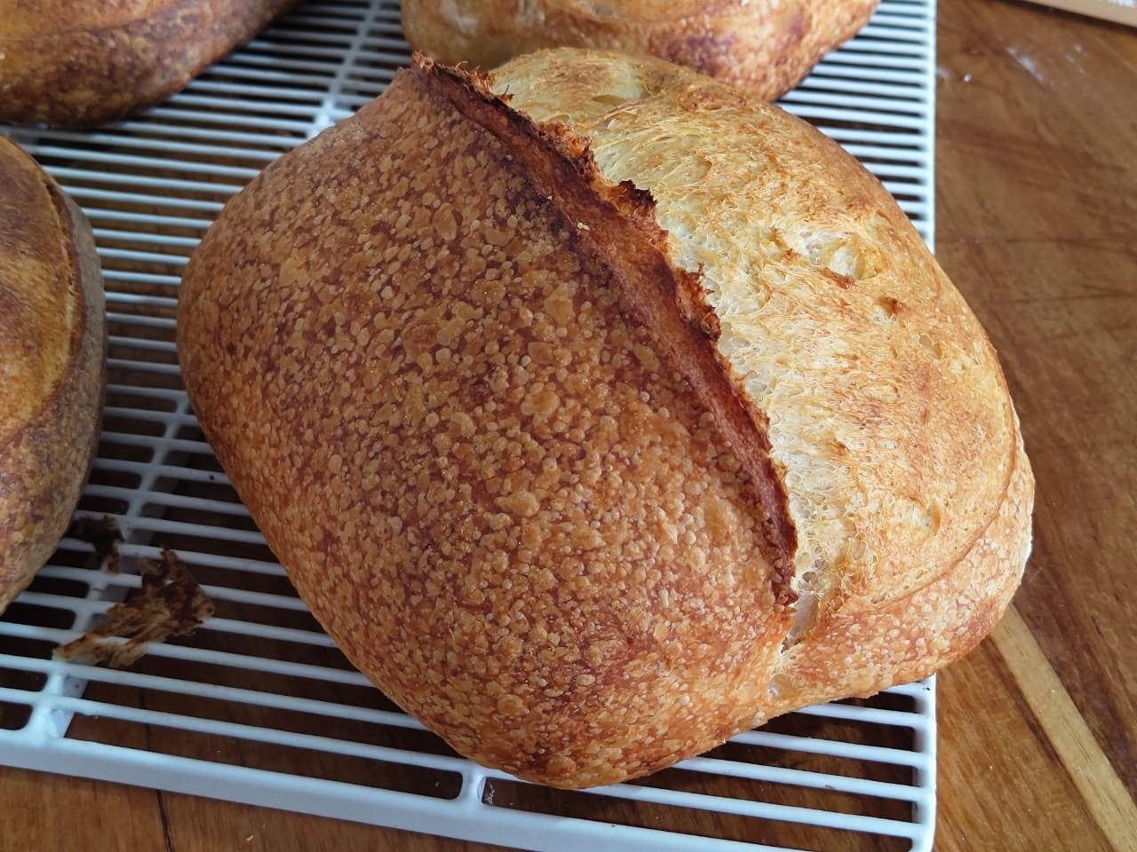 Country Loaf